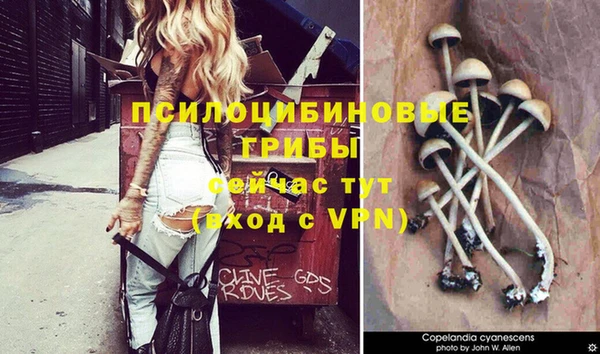 мяу мяу кристалл Арсеньев